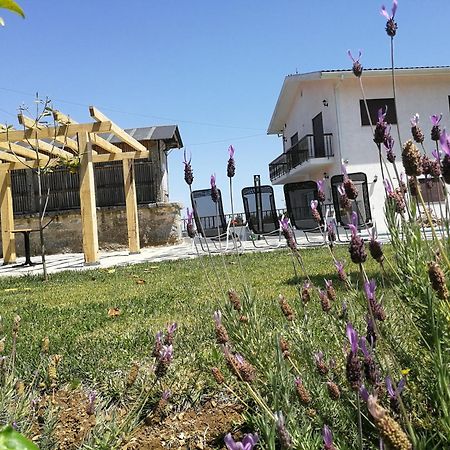 Abrigo das Andorinhas Aveiro Exterior foto