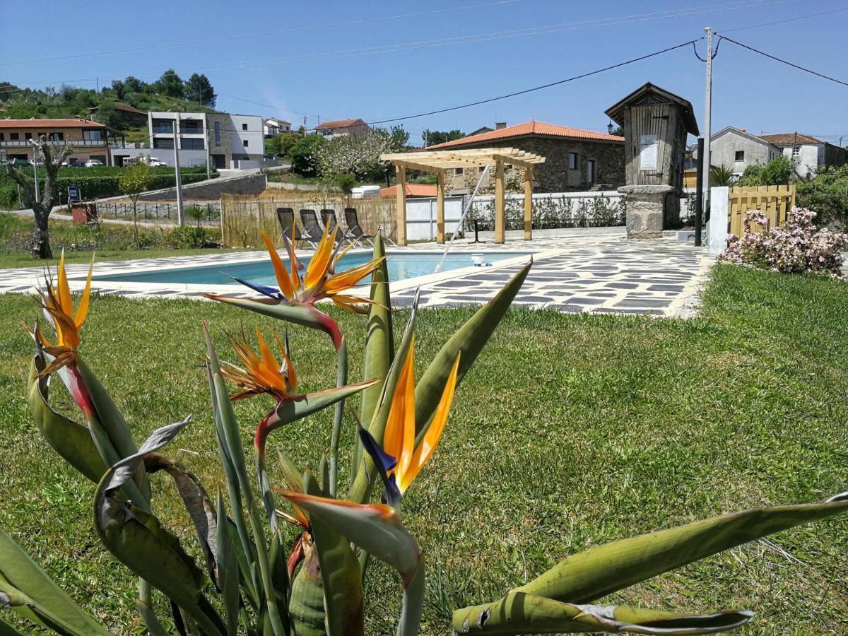 Abrigo das Andorinhas Aveiro Exterior foto