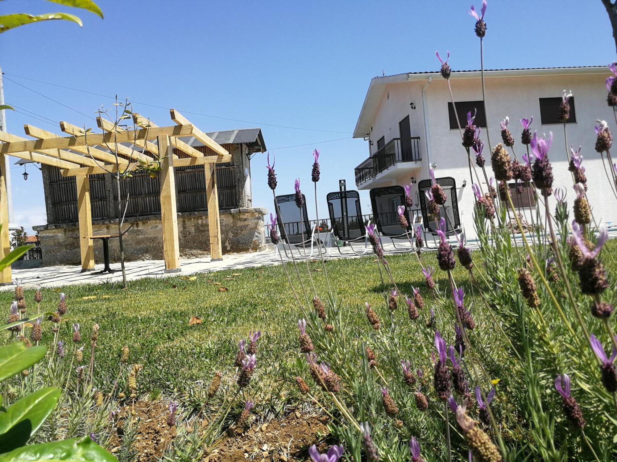 Abrigo das Andorinhas Aveiro Exterior foto